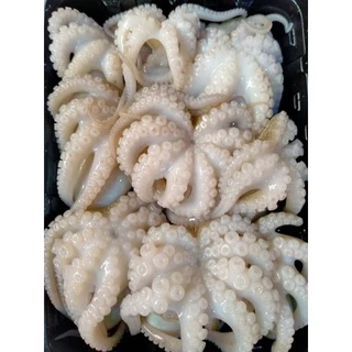 หัวหมึกสาย 500กรัม🐙 อร่อยกรุบกรอบ พร้อมส่ง หมึกสาย หมึกสายแช่แข็ง ปลาหมึก 🚛เหมาค่าส่ง ฟรีกล่องโฟม!! ทุกจังหวัดทั่วไทย🎉
