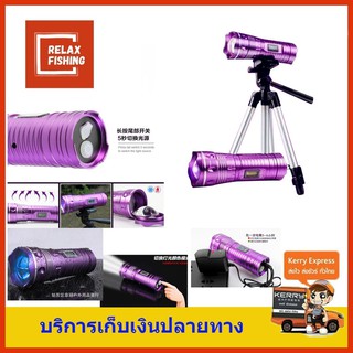 ไฟฉายส่องทุ่น+ไฟกิ่ง พร้อมขาตั้ง