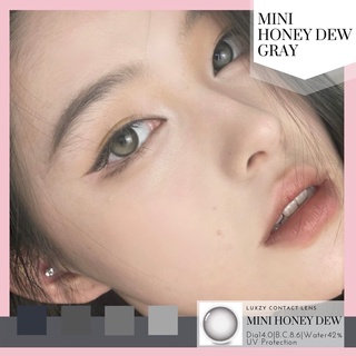 Luxzy lens Mini Honey Dew Gray 0.00-1000