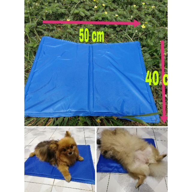 Cooling pet mat แผ่นเจลเย็นคลายร้อนสำหรับสัตว์เลี้ยง  ไซส์ M 40× 50 cm