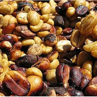 MT Honey Process ขนาด 250g. Full City+ Roast เมล็ดกาแฟดอยแม่จันใต้ คั่วกลางค่อนเข้ม คั่วใหม่