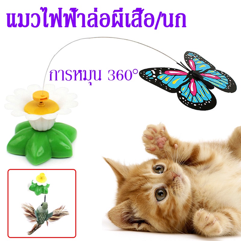 ✅พร้อมส่ง✅ ผีเสื้อบิน นกบิน บินอัตโนมัติ ใส่ถ่าน AAA 1 ผีเสื้อล่อแมว นกล่อแมว ของเล่นแมว