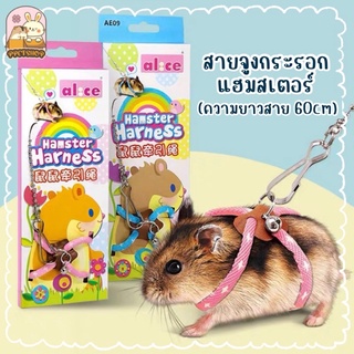 ppetshop - Alice สายจูงแฮมสเตอร์ สายจูงกระรอก ชูการ์