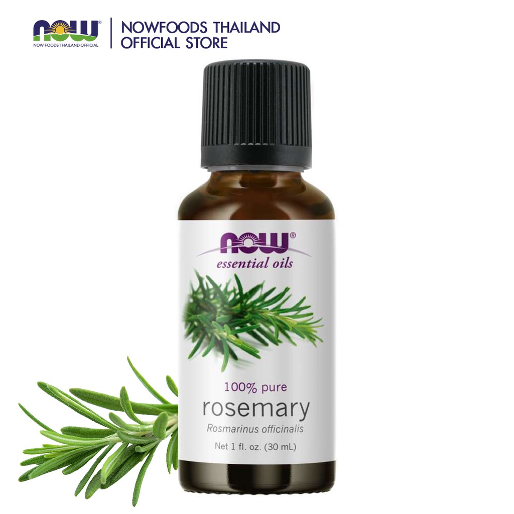 Now Rosemary Essential Oil 30 Ml 100% Pure (น้ำมันหอมระเหย กลิ่นโรสแมรี ...