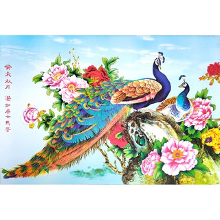 โปสเตอร์ รูปวาด นกยูงคู่ ดอกโบตั๋น ภาพมงคล เสริมฮวงจุ้ย Peacock Peony POSTER 23”x34” Inch Chinese Brush Painting V4