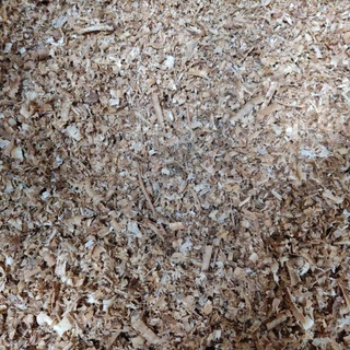 ขี้กบขี้เลื่อยไม้สัก(Wood shavings)ไม่กรองฝุ่น1กิโลกรัม