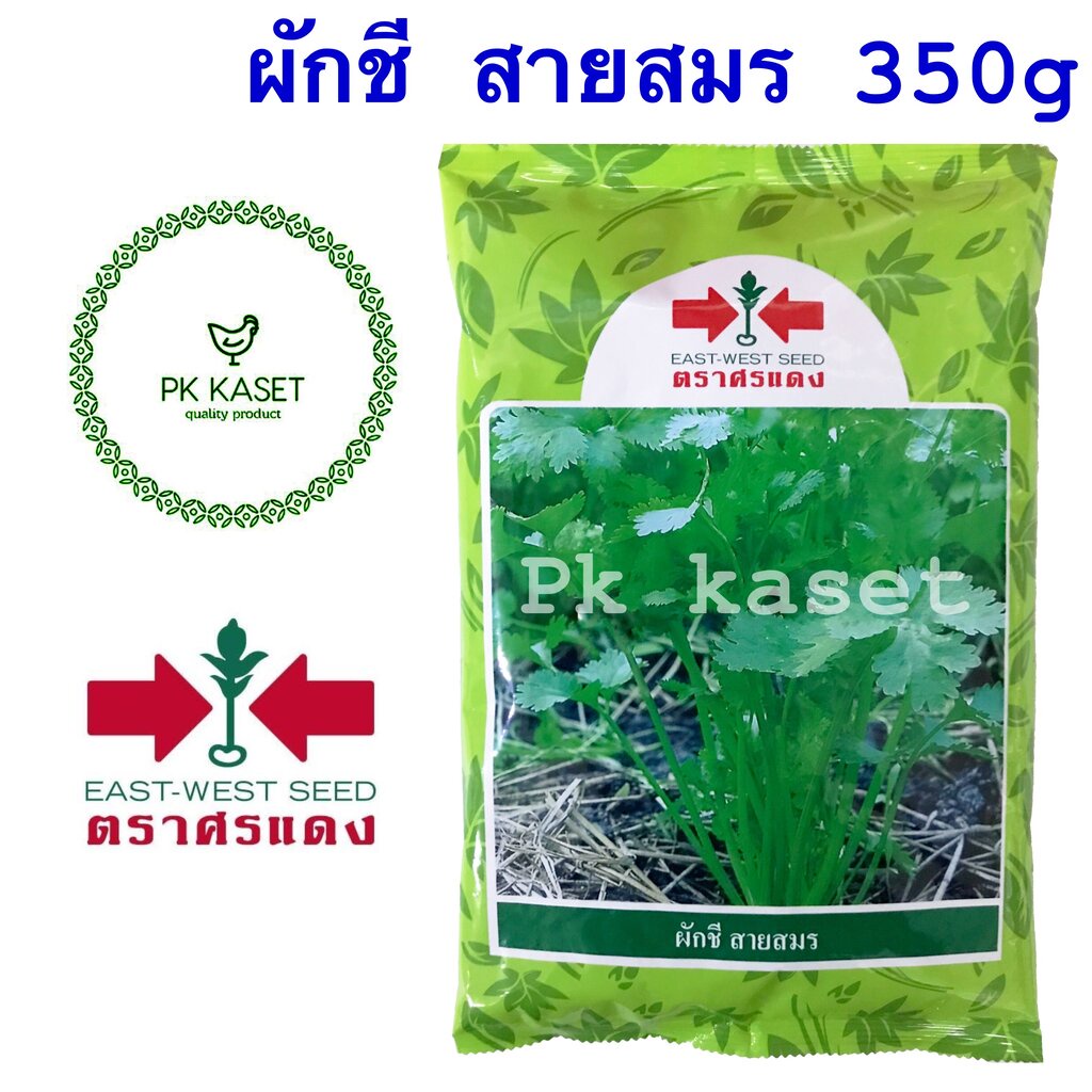 เมล็ดผักชี สายสมร ตราศรแดง ผักชีสายสมร 350g คุณภาพดี กอใหญ่ ต้นแข็งแรง