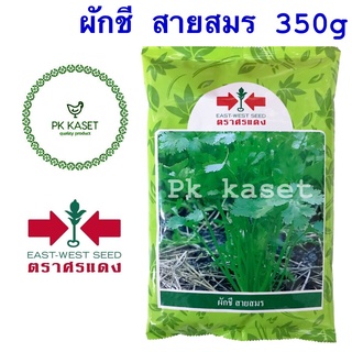 เมล็ดผักชี สายสมร ตราศรแดง ผักชีสายสมร 350g คุณภาพดี กอใหญ่ ต้นแข็งแรง ราคาส่ง