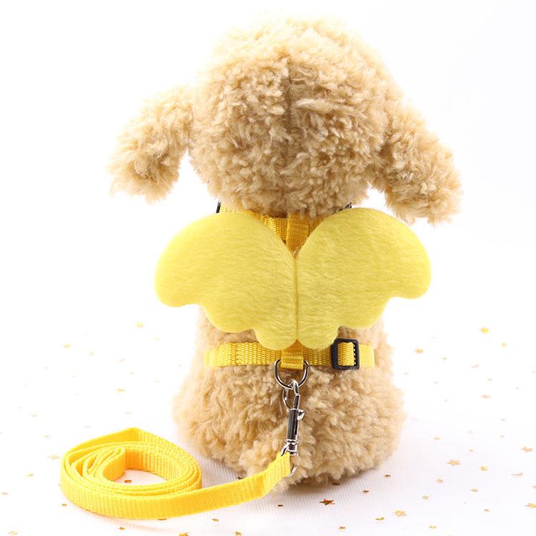 MILLY HOUSE♥ นางฟ้าปีกจูง เชือกลากจูง pet Angel wings leash