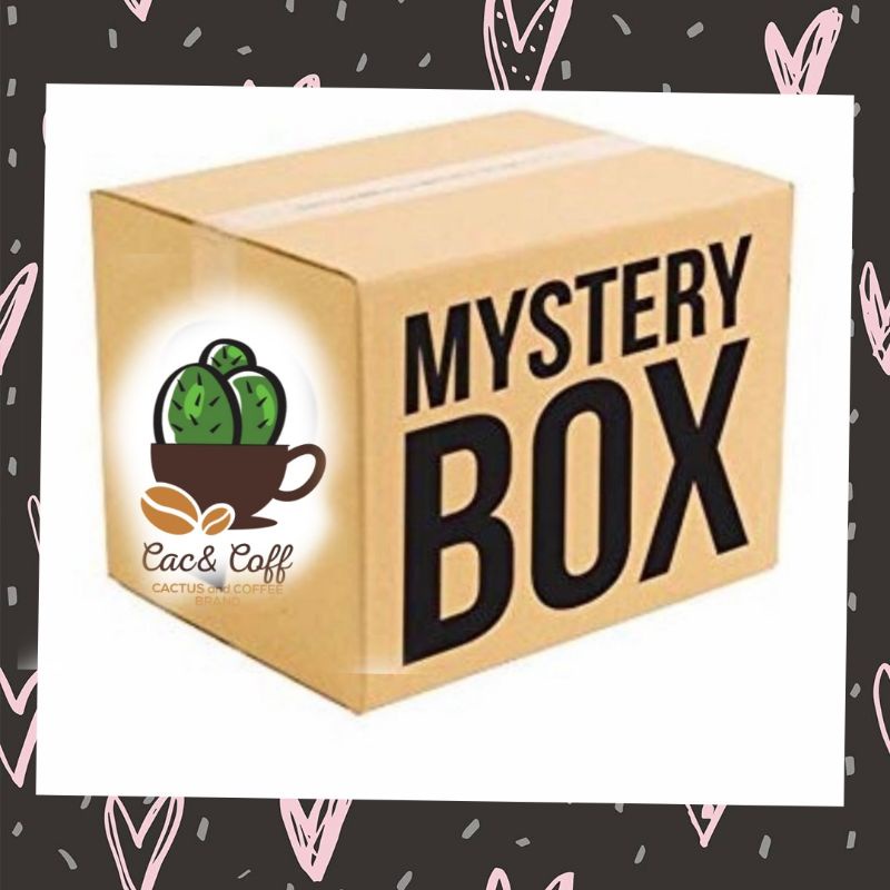 กล่องสุ่มแคคตัส (mystery box cactus)