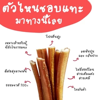 Bully Sticks dog treats ตัวเดียวอันเดียววัวอบแห้ง ขัดฟันน้องหมา ยอดฮิต ทั่วโลก umm ขนมหมา