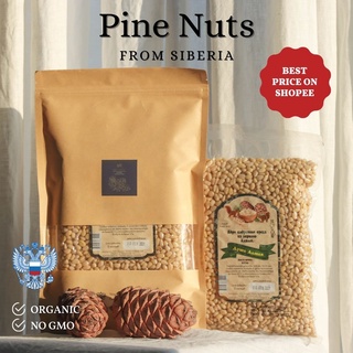 ไพน์นัท Pine Nuts ถั่วเม็ดสน เมล็ดสนจากไซบีเรีย คุณภาพทุกเม็ด Pine nut from Siberia. Organic | Premium ถั่วไพน์ 🌲