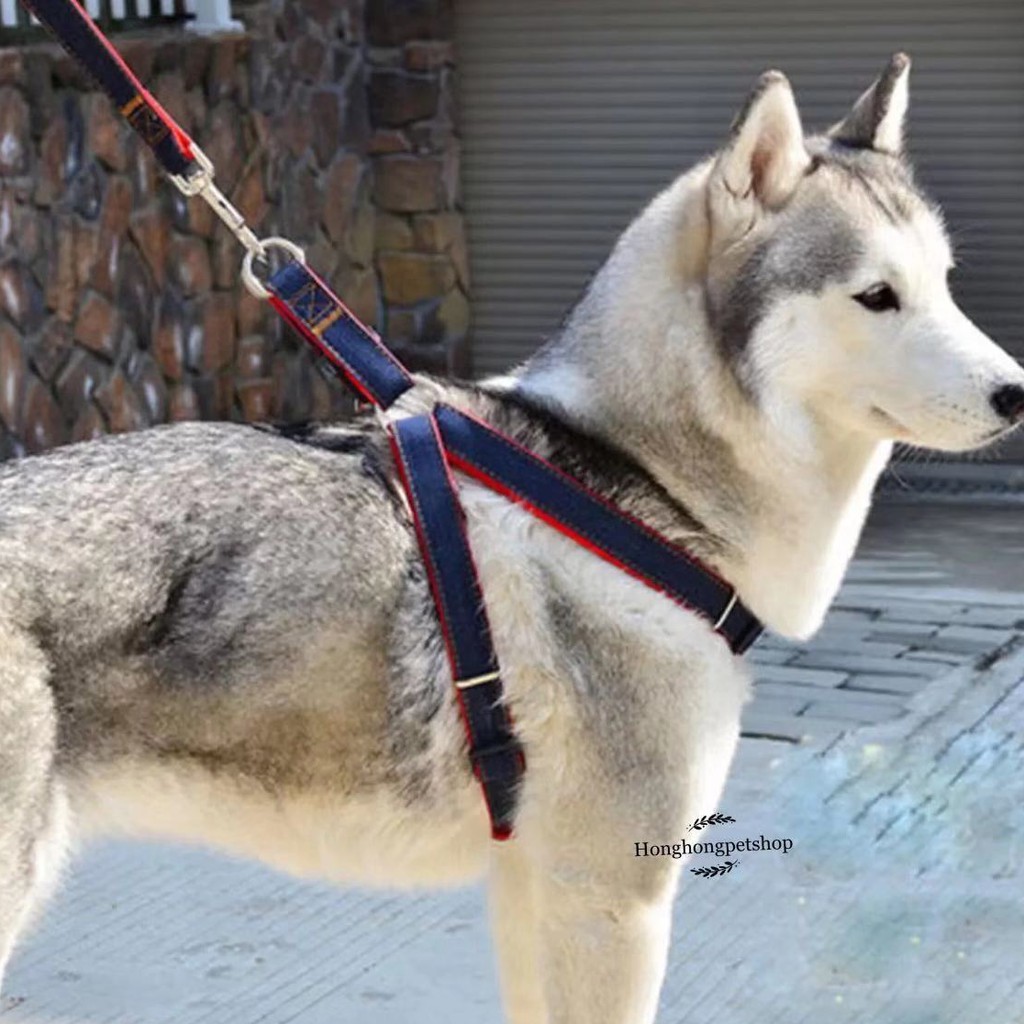 (3.6มาใหม่ พร้อมส่ง)​🐶SETสายจูงสุนัข+สายรัดอก สำหรับน้องๆทุกสายพันธุ์
