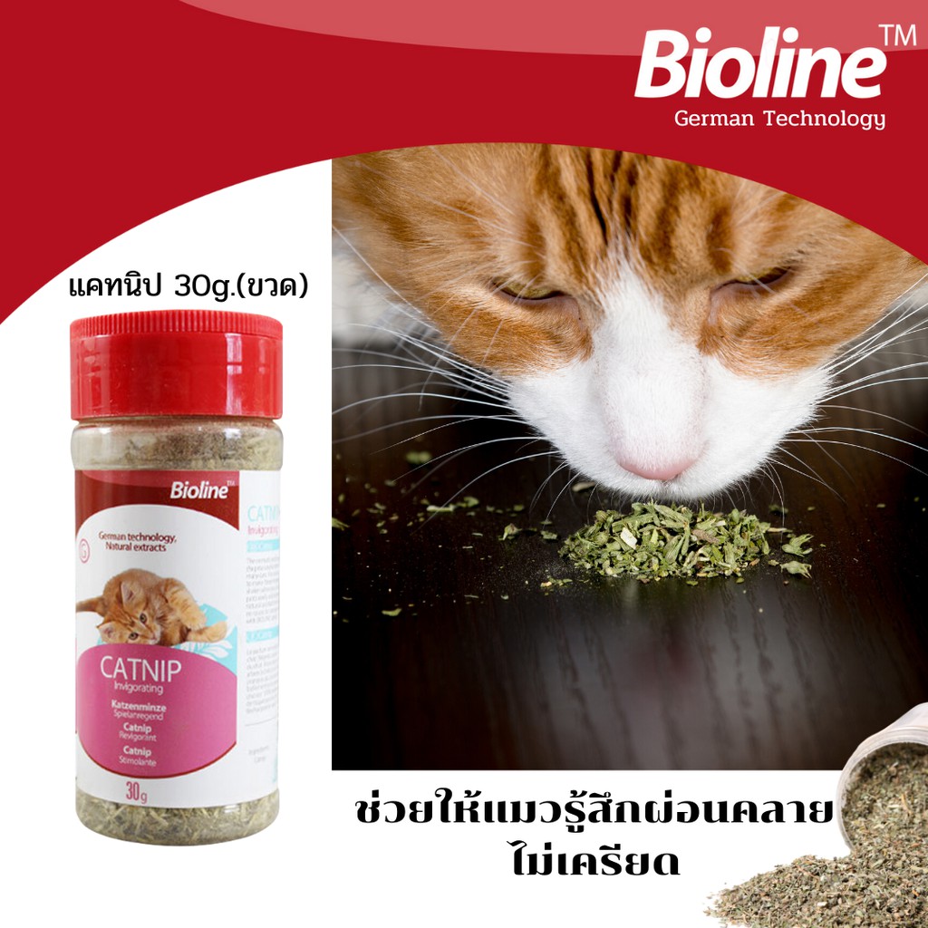 Bioline CATNIP ผงแคทนิป/สเปรย์แคทนิป/แท่งมาทาทาบิ สมุนไพรจากธรรมชาติ 100% ของเล่นแมว ช่วยให้แมวรู้สึกผ่อนคลายอารมณ์