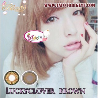 lucky clover TATOTO Contact Lenses Brownคอนแทคเลนส์