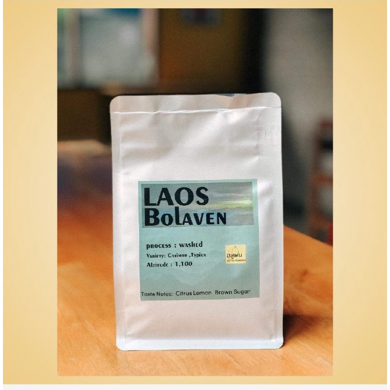 เมล็ดกาแฟ คั่วอ่อน คั่วกลาง คั่วเข้ม Laos Bolaven  ลาว โบลาเวน ปากซอง? ฤดูฝน? Coffee? Roasters Light roast