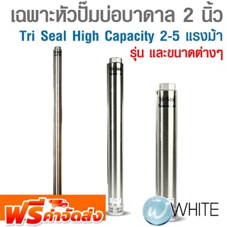 เฉพาะหัวปั๊มบ่อบาดาล 2 นิ้ว Tri Seal High Capacity Pumps 2-5 แรงม้า ยี่ห้อ FRANKLIN จัดส่งฟรี!!!