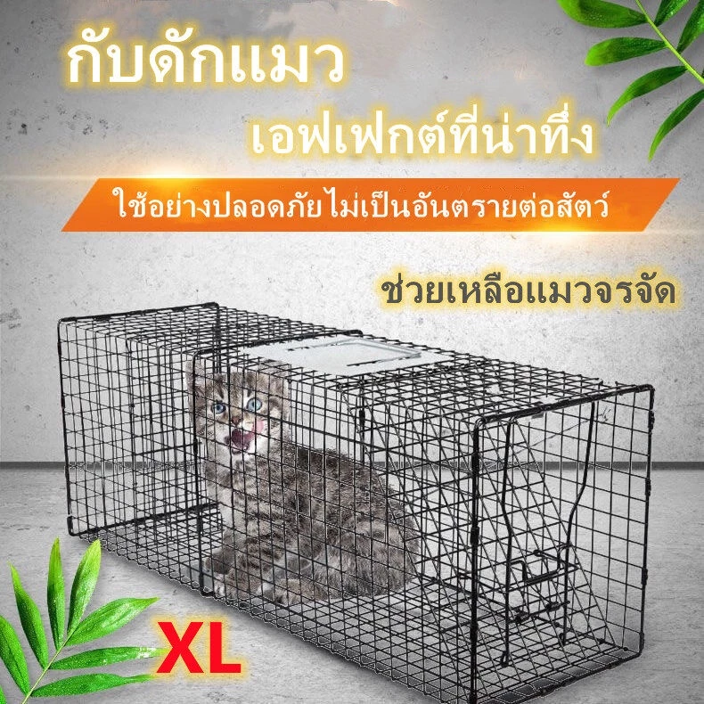กรงดักแมว กรงพับได้