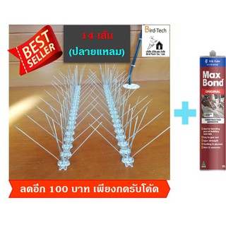 Bird spike  หนามกันนก poly 14 เส้น ➡️ปลายแหลม⬅️ 120 กิ่งต่อแมตรแถมกาวตะปู 1 หลอด​