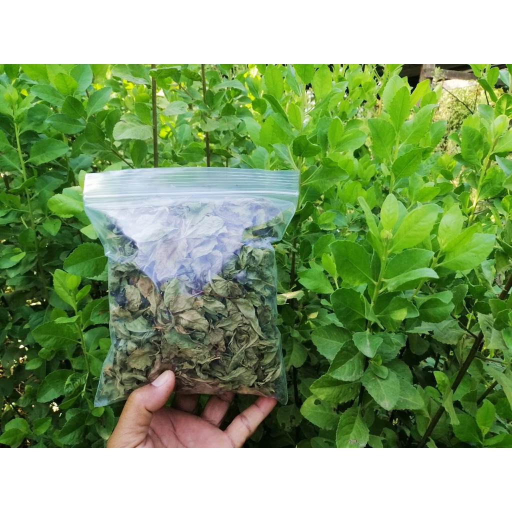 ชาใบขลู่ ใบขลู่อบแห้ง ออร์แกนิค100% ใบขลู่สมุนไพรอบแห้ง สำหรับชงดื่มเป็นชา