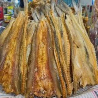 ส่งฟรี ปลาช่อนทะเล (ใหญ่ / ผ่าเล็ก) สดใหม่ ทอดได้ ย่างได้ อร่อย (คุ้มและอร่อย) 500กรัม