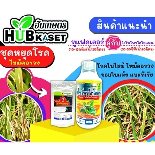 ไอโซโพไทโอเลน 1ลิตร (ไอโซโพรไทโอเลน) ป้องกันโรคไหม้ในนาข้าว ขอบใบแห้ง