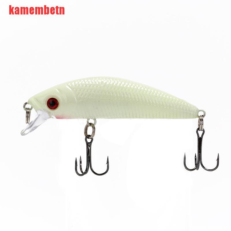 3D Plastic Minnow Night Fishing Lures Bass Crankbaits Hooks Crank Baits Tackle