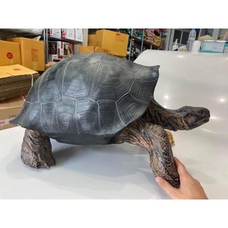 Tortoise Sculpture โมเดลเต่ากาลาปากอส