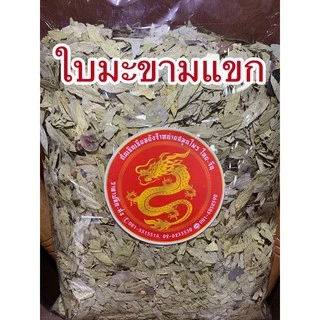 ใบมะขามแขก ใบมะขามแขก ใบมะขามแขกแห้ง