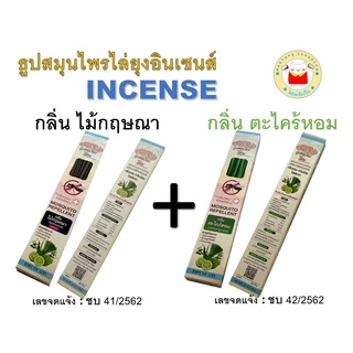 (1 กล่อง) ธูปไล่ยุง incense ของแท้โรงงาน มีอย. ราคาถูก