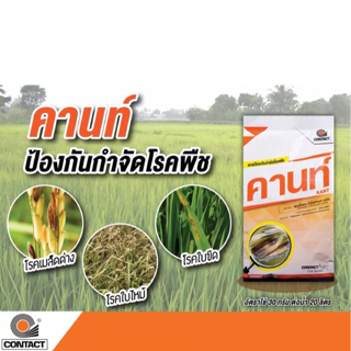 คานท์ สารป้องกันกำจัดโรคพืช ไทโอฟาเนต-เมทิล+แมนโคเซป ขนาด 100 กรัม