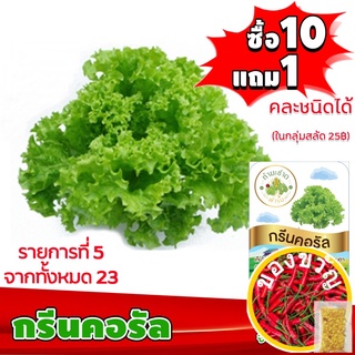 เมล็ดอวบอ้วน100%，ไทยในสต็อกพร้อมส่ง{{ส่งKerry}}[10แถม1 มีคู่มือ] เมล็ดพันธุ์ กรีนคอรัล Green coral  ประมาณ 200 เมล็ด (0.