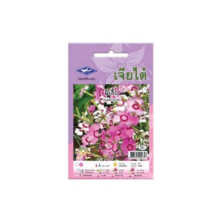 เมล็ดพันธุ์ ผีเสื้อ | เครื่องบิน | FLOWER-004 เมล็ดพันธุ์ อุปกรณ์ทำสวน สวนและอุปกรณ์นอกบ้าน
