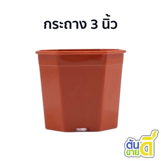 กระทางต้นไม้
 กระถางเหลี่ยม กระถางต้นไม้
 กระถาง 8 เหลี่ยม 3 นิ้ว สีอิฐ กระบองเพชร