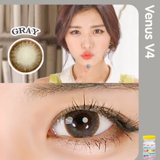 คอนแทคเลนส์ Venus V4 | Lollipop