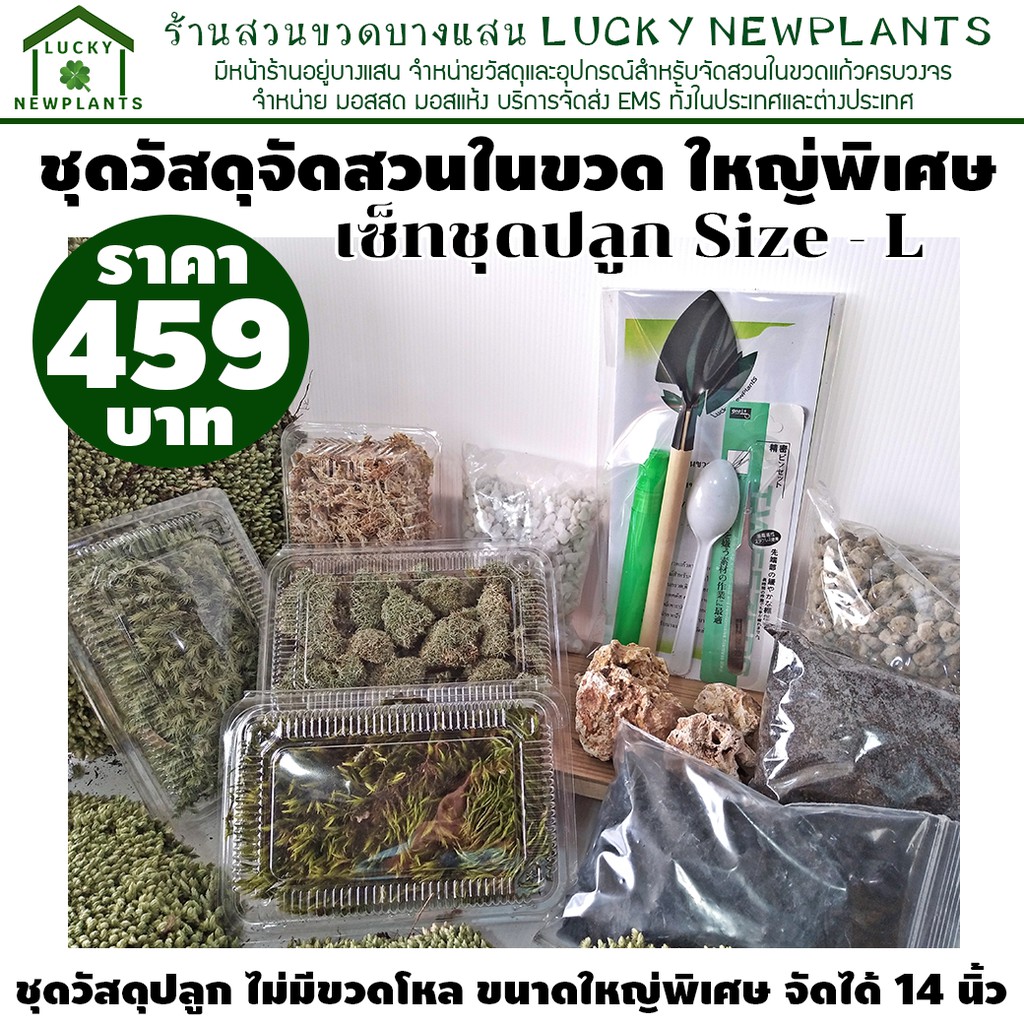 ชุดจัดสวนในขวดแก้ว ขนาดใหญ่พิเศษ จัดได้ 12-14 ตารางนิ้ว ราคา ถูกที่สุด ดีลบีเคเค แกลเลอรีภาพที่ 3