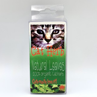 Cat Herb Natural Leaves 100% organic สมุนไพรธรรมชาติ 100% ขนาด 5g.