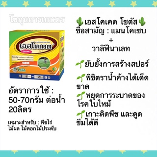 เอสโตเคด แมนโคเซบ โซตัส ขนาด100กรัม สารป้องกันกำจัดโรคพืชที่ช่วยในการยับยั้งการสร้างสปอร์