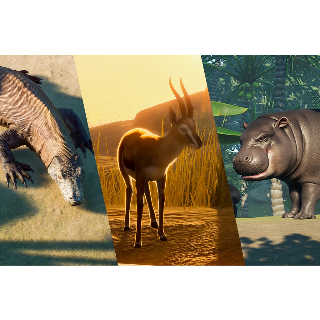 Zoo DELUXE EDITION Steam OFFLINE Shopee Thailand