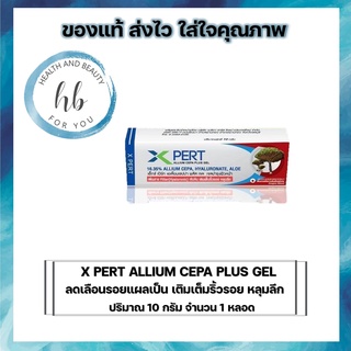 X PERT ALLIUM CEPA PLUS GEL ลดเลือนรอยแผลเป็น เติมเต็มริ้วรอย หลุมลึก ปริมาณ 10 กรัม จำนวน 1 หลอด