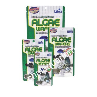 Hikari Algae Wafers อาหารปลาทะเลและปลาซัคเกอร์ อาหารปลากินพืชผสมสาหร่ายชนิดเม็ดจม