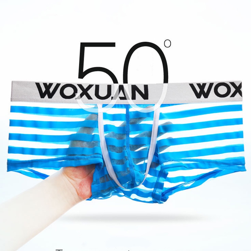 Hot Sexy Striped Men's Mesh Boxers Low Waist Ultra-thin Sexy Breathable Mens Underwear Panties #3