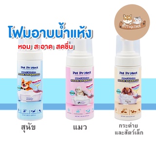 Pet Protect โฟมอาบน้ำแห้ง กำจัดแบคทีเรีย และบำรุงขนสัตว์ จากธรรมชาติ100%