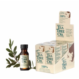 Tea Tree Oil 100% / น้ำมันทีทรี ลดการระคายเคืองหลังแว็กซ์ 0.5 oz / Gen-02046