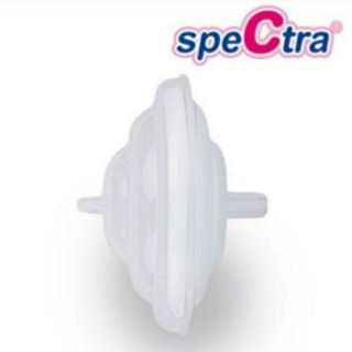 กันย้อน Spectra ของแท้