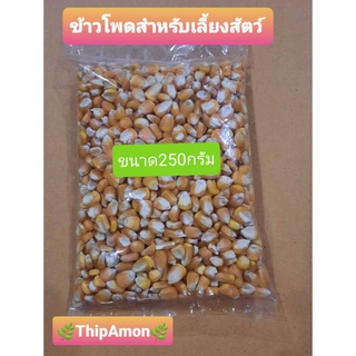 เมล็ดข้าวโพดสำหรับเลี้ยงสัตว์ขนาดน้ำหนัก 250 กรัม(2.5ขีด)