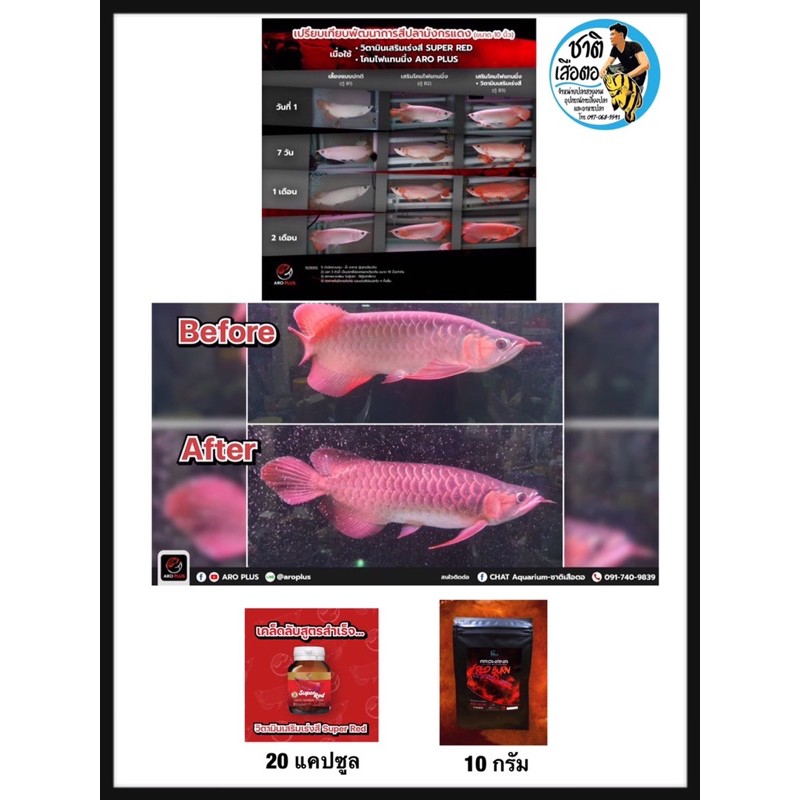 AROPLUS - red burn  วิตามินเร่งสีสำหรับปลามังกรแดง 10 g. แบบผงคลุก ปลอดภัยกับตัวปลา