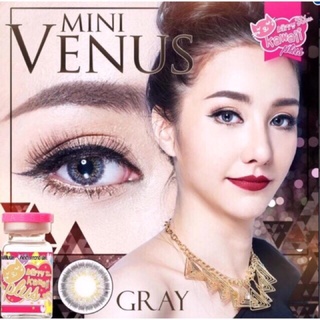 ☂️Bigeyes/Mini Venus Brown/Gray☂️สายตาปกติ(kitty kawaii)