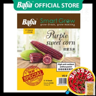 Baba VE-064 Smart Grow Purple Sweet Corn Seed - Vegetable Seed [10 Seeds] [[Hot Selling! Restock On Demand]]เสื้อ/​​กระโ