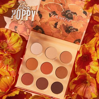 แท้💯% [เช็คใบเสร็จได้] Colourpop Big Poppy Palette